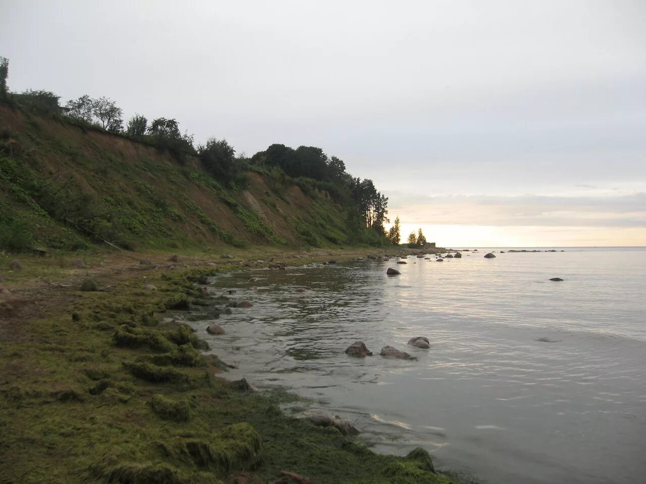 Северо эстонский глинт. Крутой уступ финского залива 5. Финский залив поселок пески. Крутой уступ финского залива 5. Красногорский обрыв лебяжье.