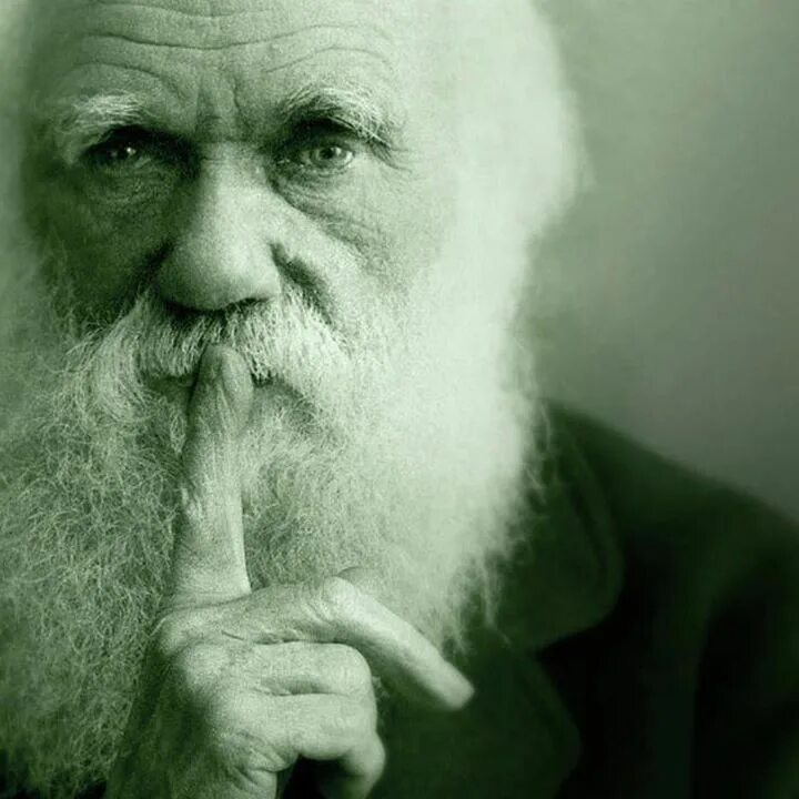 Дарвин портрет. Дарвин ли. Дарвин портрет. Дарвин ли. Дарвин ли.
