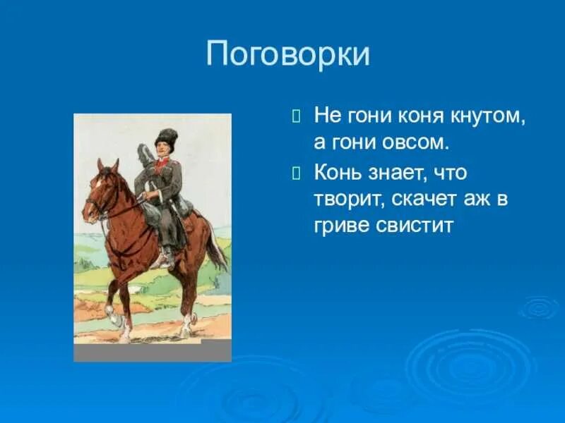 Пословицы про лошадей. Поговорки про лошадь. Пословицы и поговорки о лошадях. Пословицы и поговорки про коня.