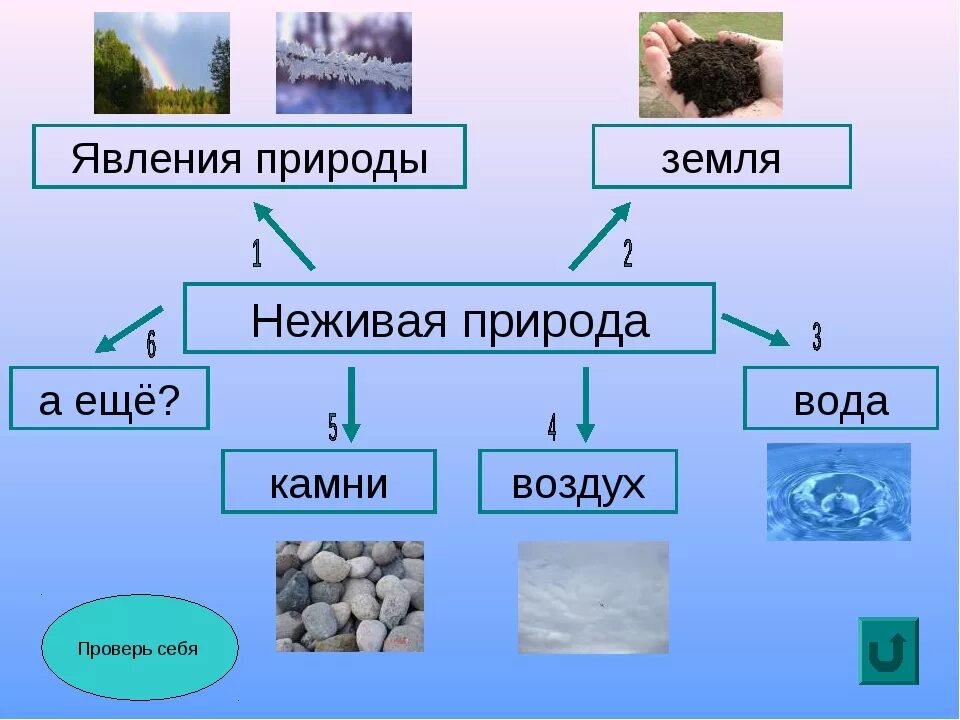 Объекты неживой природы. Природные объекты неживой природы. Таблица Живая и неживая природа. Окружающий мир: неживая природа. В природе есть признаки