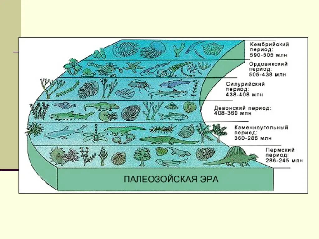 Схема жизнь в океане. Палеозой Эра Кембрий. Период эпоха Палеозойская Эра. Кембрийский период палеозойской эры. Палеозойская Эра периоды.