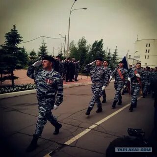 Омон беркут