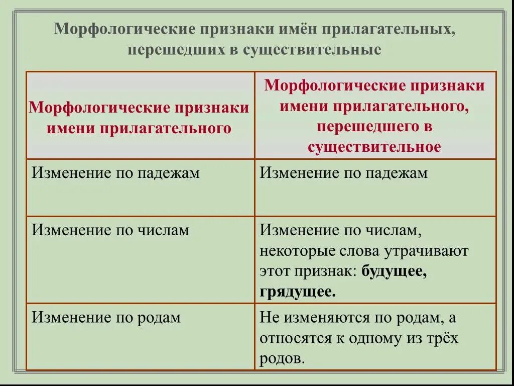 Постоянные признаки прилагательного в морфологическом. Морфологические признаки существительного и прилагательного. Морфологические признаки имя прилагаьельного. Признаки прилагательного. Морфологические признаки прилагательного.