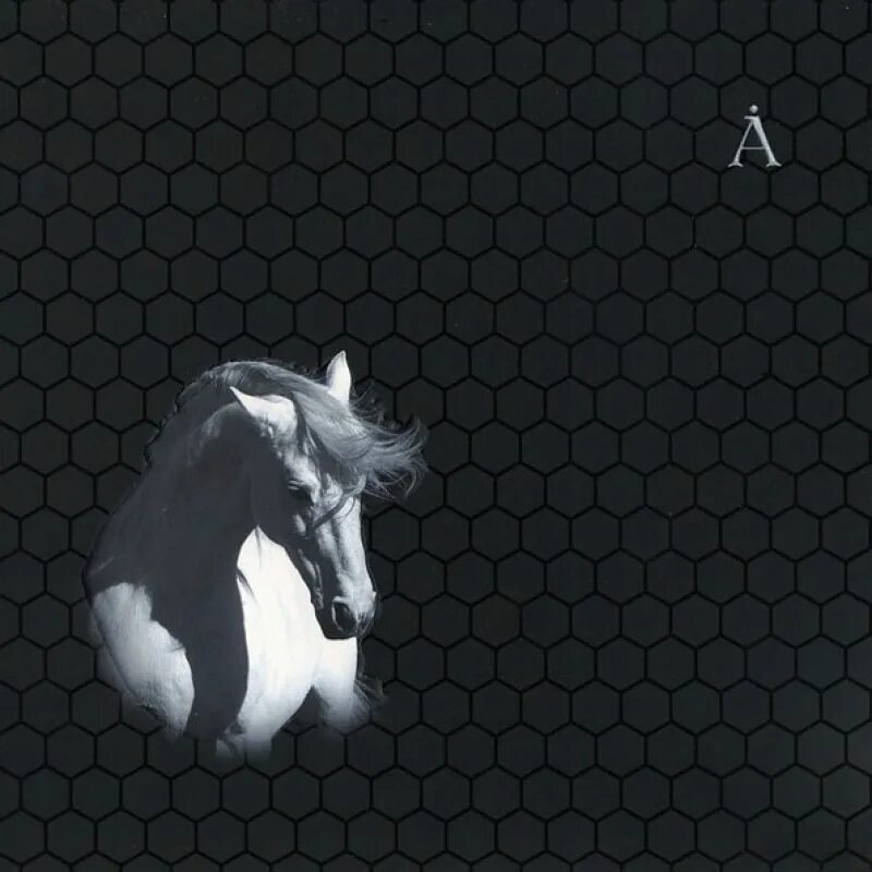 Аквариум - лошадь белая (2008, LP). Белая лошадь альбом Гребенщикова. Аквариум лошадь белая альбом.