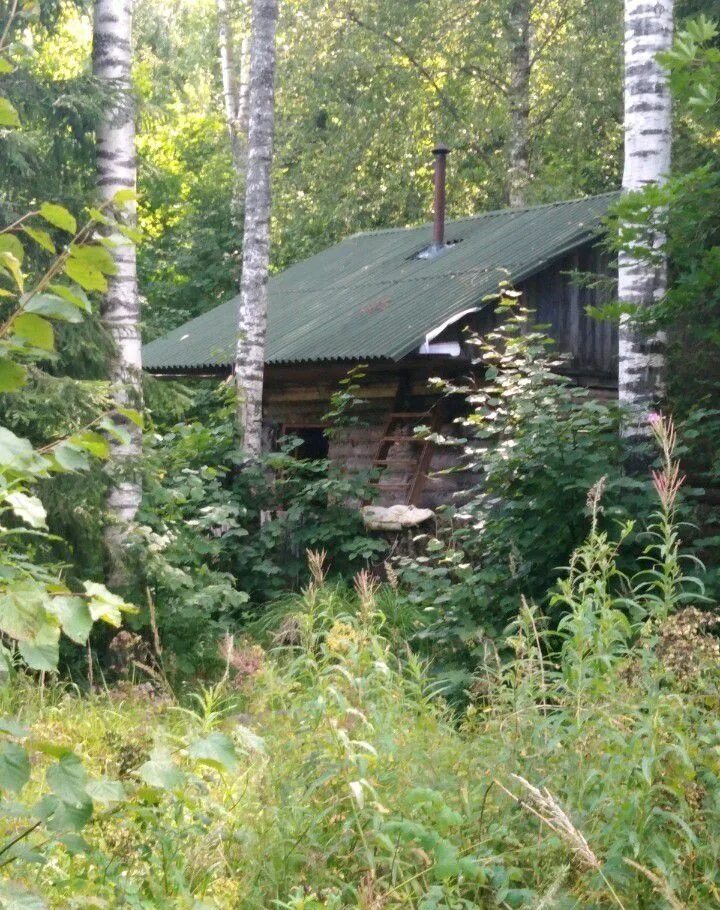 Погода воргаш талдомский. Погода воргаш талдомский