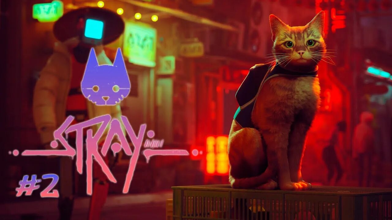 Игра котики прохождение. Stray 2022. Игра за кота 2022 Stray. Бродилка с котом. Рыжий кот Stray.