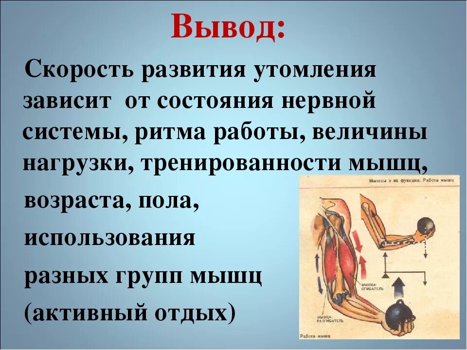 Основные работы мышц. Причины утомления мышц. От чего зависит утомление мышц. Причины мышечного утомления. Почему развивается утомление мышц.