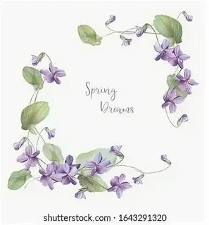 Violet s wildlife