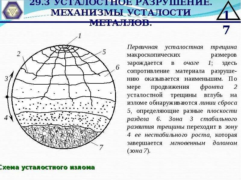 Усталостный излом металла. Зоны усталостного излома. Усталостное разрушение металла. Зона развития трещины.