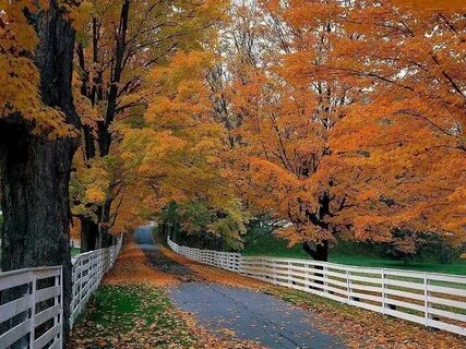 Fall but