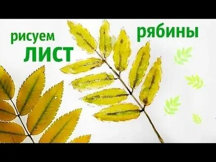Рябины лист текст