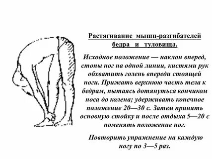 Наклон вперед мышцы