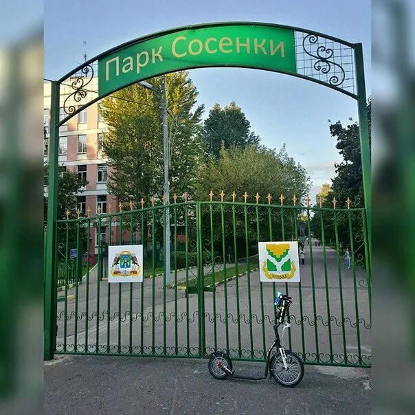 Сосенки царицыно. Парк Сосенки Котловка. Парк Сосенки Москва Нахимовский проспект. Парк Сосенки ЮЗАО. Парк Сосенки в Царицыно.