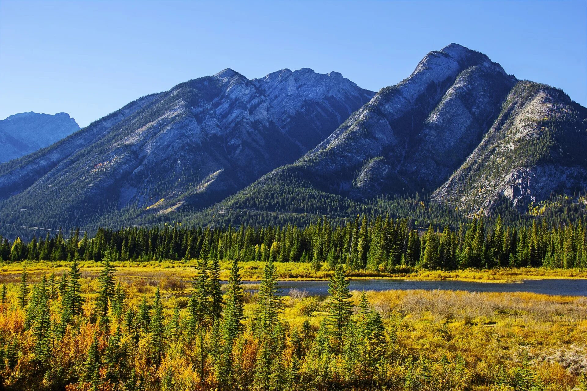 Тайга в америке. Скалистые горы колорадо. Таёжный лес в канаде. Светлохвойная тайга северная америка. Хвойный лес северной америки.