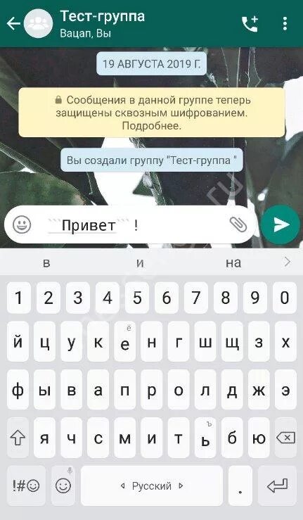 Как писать жирным шрифтом в ватсапе. Шрифты в вацапе. жирный шрифт в ватсапе. фишки текста в ватсапе. изменение шрифта в ватсапе.