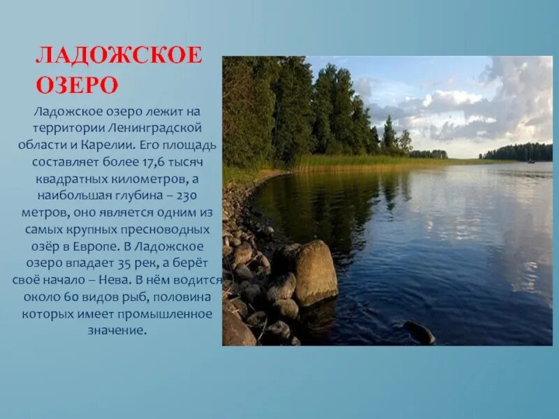 2 сочинение на тему озеро. Ладожское озеро доклад 4 класс окружающий мир. Описание Ладожского озера. Доклад об озере Ладожское озеро. Ладожское озеро презентация.