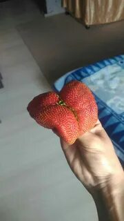 Яблоня клубника