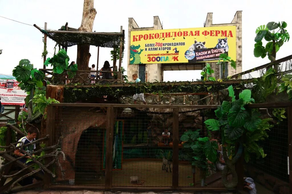 Куда сходить с детьми, отдыхая в Анапе?