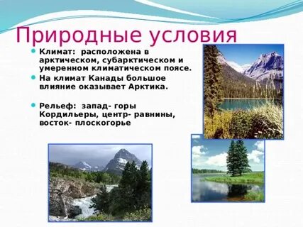 Расположена в умеренном