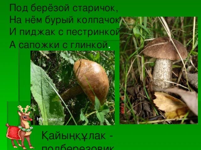 Загадка стоит старичок. Пять братьев годами равные ростом разные. Стоит старичок красный колпачок. Продолжить загадку стоит старичок. Пять братьев годами.