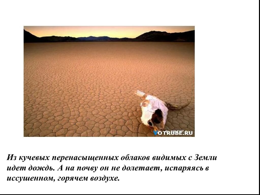 Сообщение испарение в жизни животных. Испарение у животных. роль испарения в жизни животных. испарение в жизни человека и животных. роль испарения в мире животных.