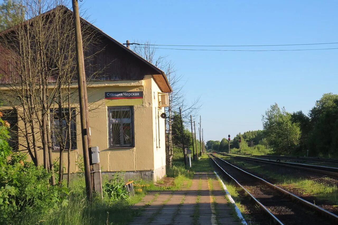Плодовоягодкая станция орел. Плодово-ягодная станция орел. Гну свердловская селекционная станция садоводства. Плодово-ягодная станция. Россошанская плодово-ягодная станция.