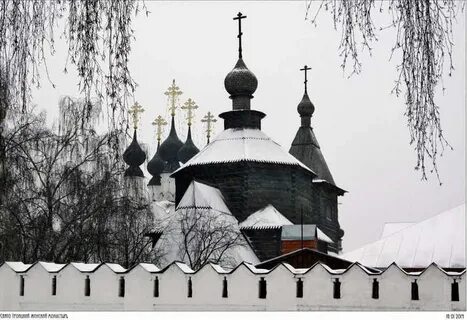 Муром дерево