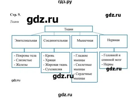 Биология 8 бодрова