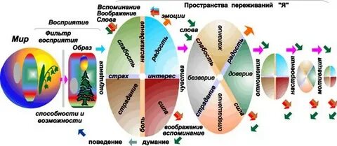 Структура переживаний