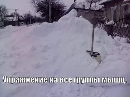 Прикольные картинки про снег