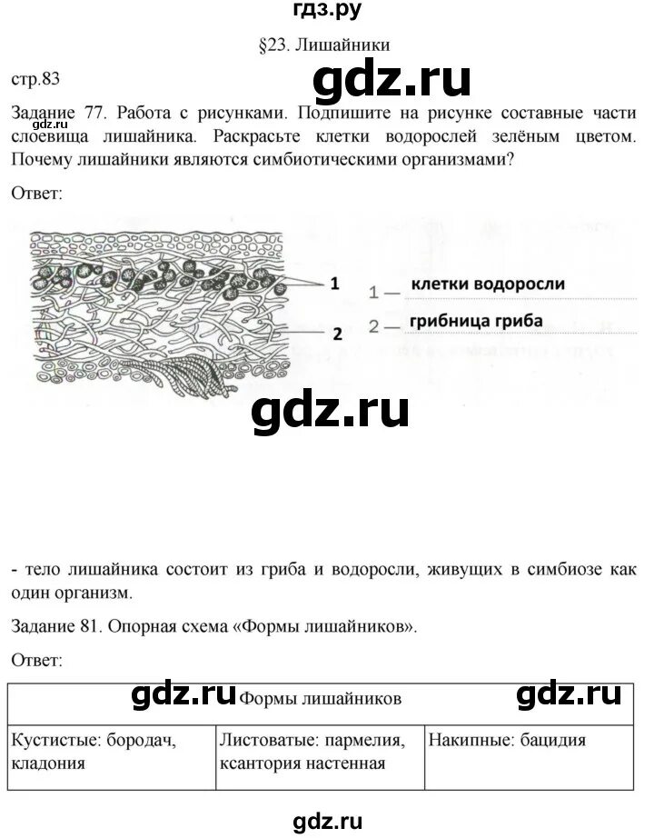 Тест водоросли 7 класс пасечник