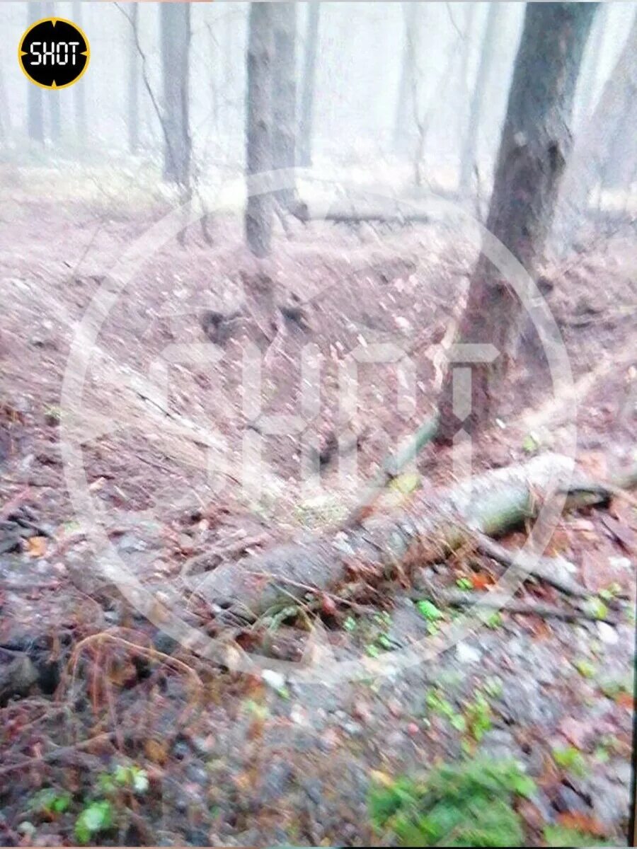 Сколько погибло мирных жителей в белгородской области. Староселье Белгородская область обстрел. Шебекино обстрел. Воронки от снарядов Курская область.