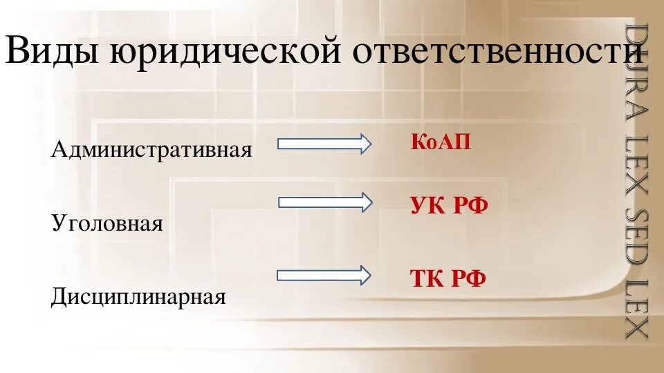 Виновен отвечай 7 класс конспект кратко. Виновен отвечай 7 класс обществознание. виновен отвечай конспект урока. виновен отвечай 7 класс обществознание конспект урока.