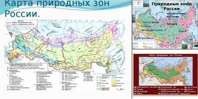 карта природных зон россии с названиями