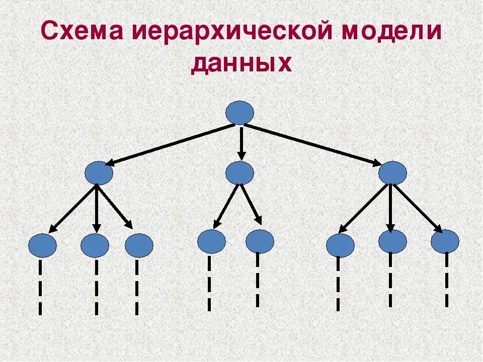 Иерархическая модель данных виды