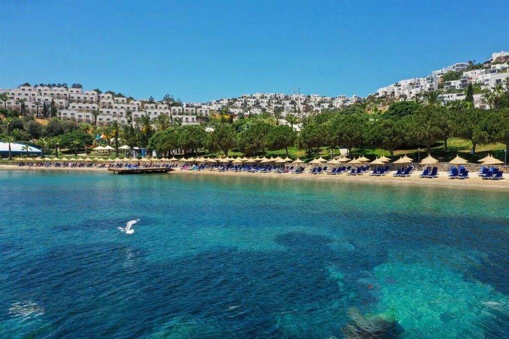 Yasmin resort 5 бодрум. Ясмин Бодрум Резорт. Отель Yasmin Bodrum. Yasmin Resort 5 Турция Бодрум. Ясмин Бодрум Резорт фото.