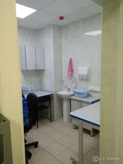 Гбуз ленинградская
