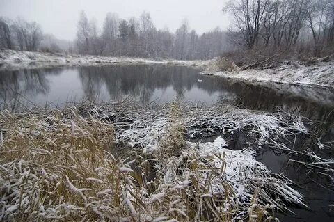 Ноябрь 2010 года