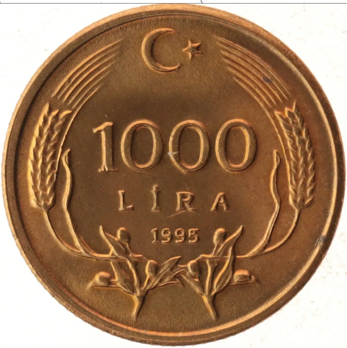 Тысяча лир сколько в рублях. 1000 Лир Турция. 1000 Лир монета. Турецкая монета 1000. Турецкая монета 1000 1995.