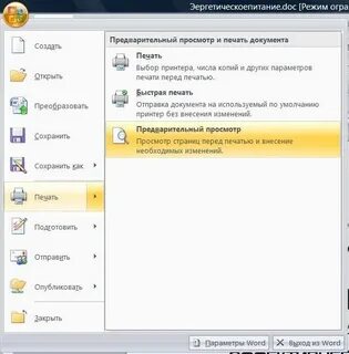 Предварительный просмотр документа