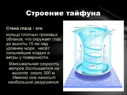 Тайфун текст