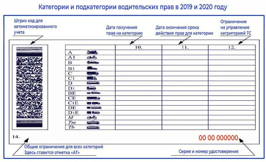 Категории водительских прав с расшифровкой РФ. Категории водительских прав 2020 таблица с расшифровкой. Категории и подкатегории транспортных средств расшифровка 2020. Категории водительских прав с расшифровкой b,b1,m. Расшифровка подкатегорий водительских