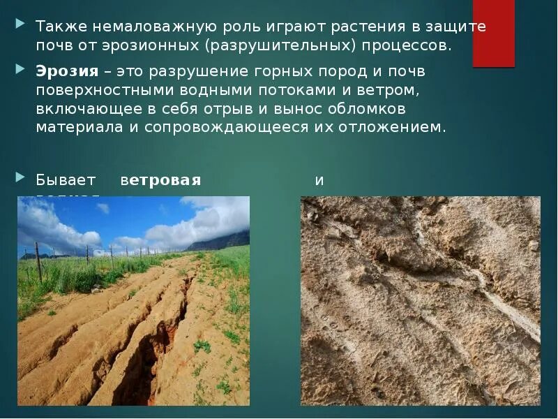 Водная эрозия почв. Ветровая эрозия. Горная эрозия это. Водная и ветровая эрозия почв. Эрозия почв и меры борьбы с ней.