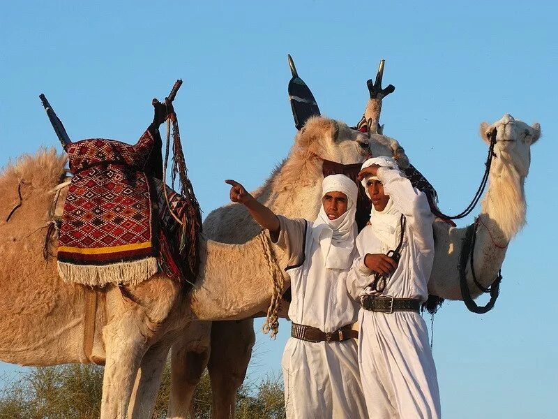 Тунис местные жители. Фестиваль сахары в тунисе. Население туниса. Население туниса. Коренные жители туниса берберы.