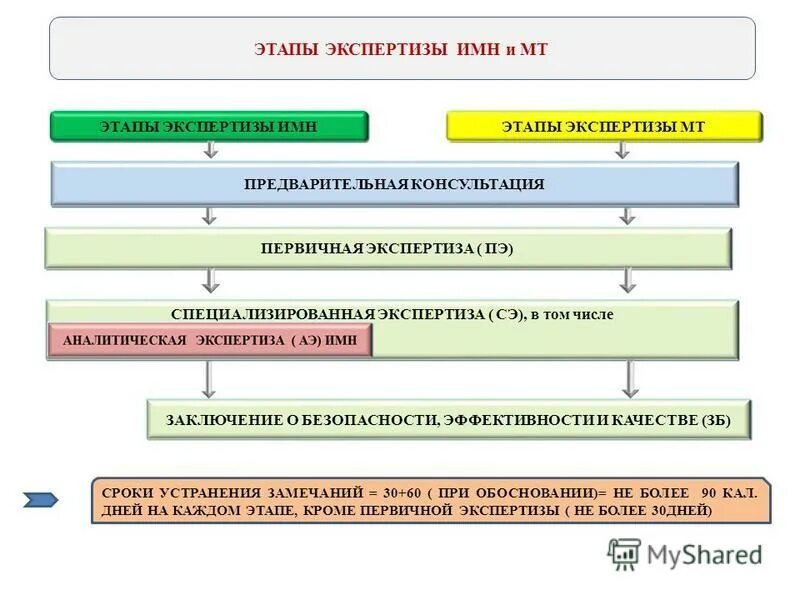 Основной этап экспертизы