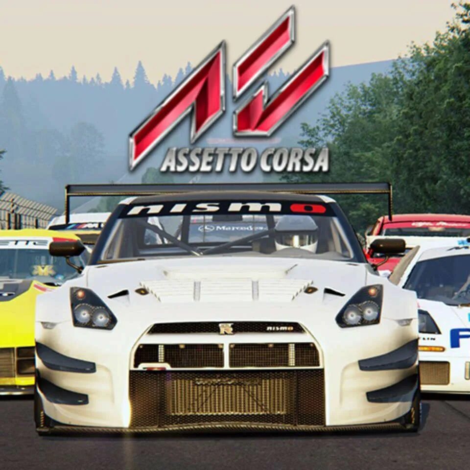 Assetto Corsa. Assetto Corsa ps4 шашки. Assetto Corsa Постер. Assetto Corsa Competizione.