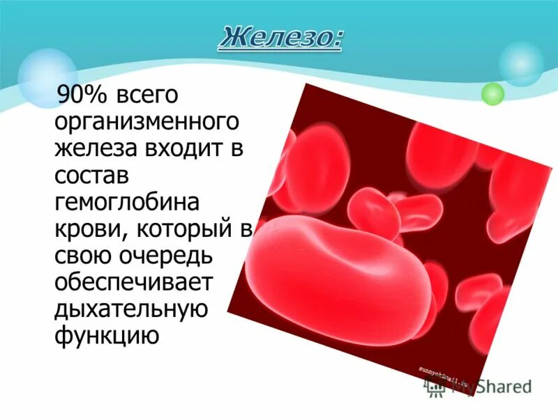 Ионы железа входят в состав гемоглобина крови. В состав гемоглобина входит. В гемоглобин входит железо. Железо входит в состав гемоглобина. Железо входит в состав гемоглобина крови.