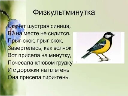 Проворная синичка