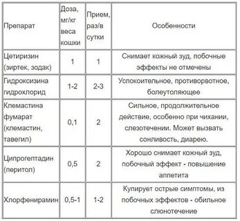 Можно дать кошке супрастин