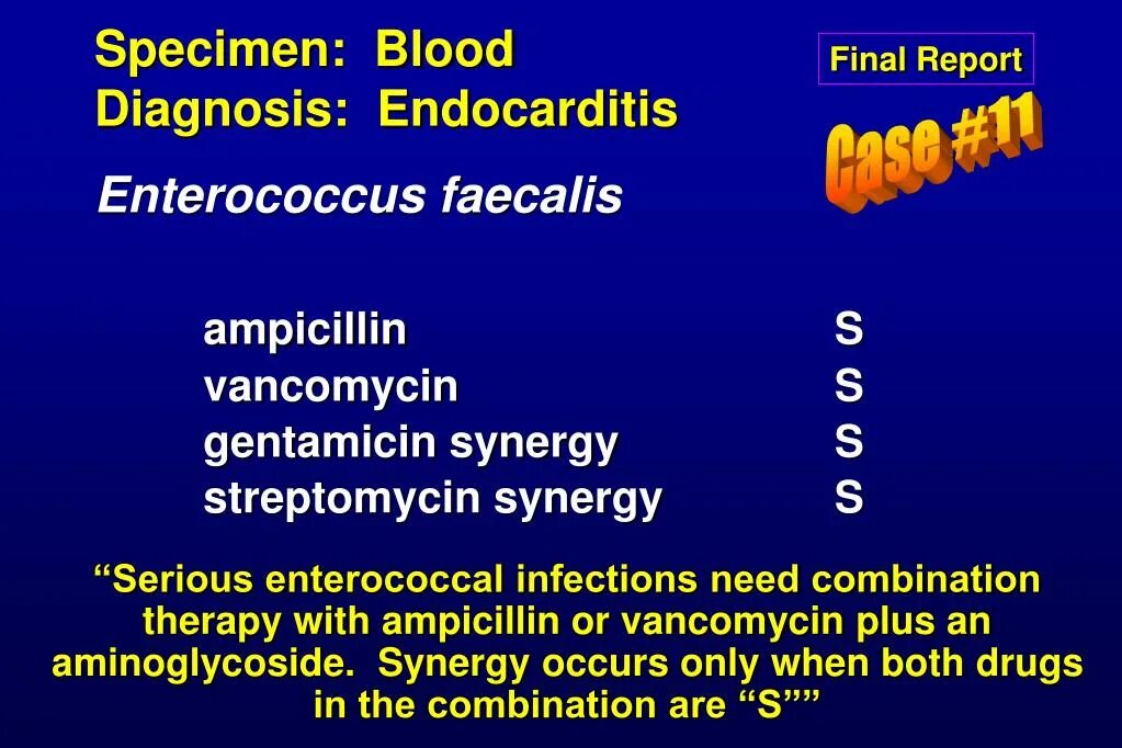 Enterococcus l3. Enterococcus l3